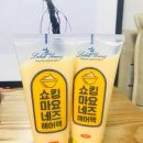 쇼킹디자인
