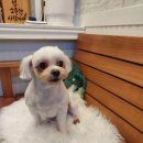 오구오구살롱 이미지