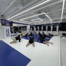 스웻바디라이프mma주짓수킥복싱 이미지