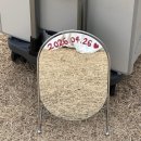 노을공원3 | W13. 서울 야외스냅 노을공원 윤슬포토 촬영 후기 및 꿀팁