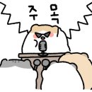 태영스크린 이미지
