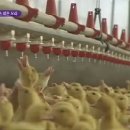 청림농장 이미지