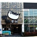 싱글벙글복어 이미지