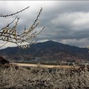 섬진주유소 이미지