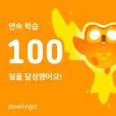 1일 10분으로 끝내는 왕초보영어 탈출 - 듣기 step3 | [듀오링고 내돈내산 슈퍼패밀리 후기] 영포자의 100일 챌린지