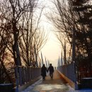 바람에 언덕 이미지