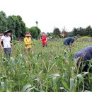 용흥농장 이미지