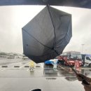 하늘고래블루 이미지