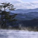 웰니스9 이미지