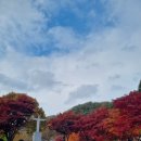 산아래쉼터 | [공지] 배론성지 - 주차 실시간단풍 제천단풍명소 제천여행코스 제천가볼만한곳 전국단풍명소