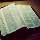 언약체육관 이미지