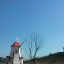 금천식당 네이버블로그