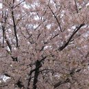 도림천역 이미지