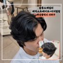 살롱드 헤일리
