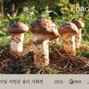 송이푸드 - 예천군 지보로 175 | 송이푸드