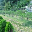 고인목장 이미지