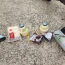 현산면 효열부 나주임씨정려 이미지