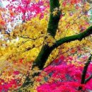 해피위드유결혼 이미지