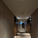 세븐일레븐울산반구내황점 | 롯데시티호텔 울산 , 가성비 좋은 울산 숙소 조식, 피트니스 있을거 가 있어