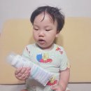 만성초교병설유치원 | 아기로션 무스텔라 스텔라토피아 크림