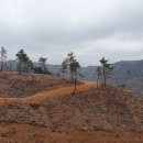 제23회 진천280랠리 3코스 구간(67~100km)초평휴게소~옥성교차로 이미지