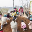 솔빛숲유치원 이미지