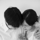 프리지아벨라플라워