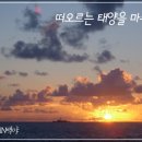 백야 - 송파구 오금로13길 22 | 백야