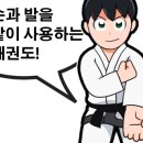 태권도/무술학원 이미지