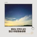 타임캡슐공원 | 정선 차박 무료 타임캡슐공원 별보기 명소 추천