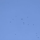 고령식당 이미지