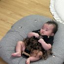 수제돈까스랑김밥이랑 이미지