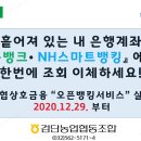 검단농협 오픈뱅킹 서비스 오픈 이미지