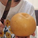 메이드핏 바이 브래이디 | 미안한데 지금 꽉 껴