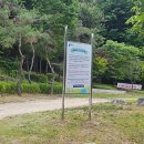 구갈레스피아 게이트볼장 티스토리
