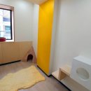 캣틀리에 이미지