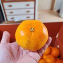 안당농장 이미지