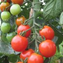 정근농장 이미지