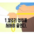 핫점핑 다이어트