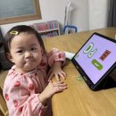 호두(HoDoo) | 호두잉글리시(hodoo english) 실사용 후기