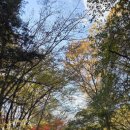 장곡검문소 통일로 5 버스정류장 | 서울 근교 나들이 추천 힐링코스! 부모님도 아이도 좋아하는 '파주 삼릉' 주말 데이트 코스