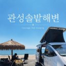여기, 성지380 | 경주 관성솔밭해변 애견동반 노지캠핑 후기, 바다 앞 차박 성지에서 보낸 2박3일 🌊