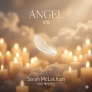 사라 맥라클란 Angel 한글 발음 가사 | 영화 시티 오브 엔젤 OST 90년대 팝발라드 명곡 따라부르기
