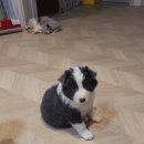 폼스하우스 이미지