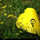 행복버스노동조합 이미지