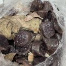 원진 | 보배김밥과 원진순대 후기 - 경주 가볼만한 곳 성동시장 영업시간 주차정보