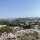 [아기랑 경주여행] 라한셀렉트 경주 호텔 후기