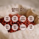 팥물 팥차 내팥을받아줘 팥톡스로 붓기 걱정 No (국산팥100%)