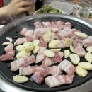순한우한마당