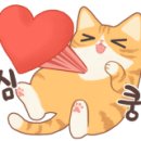 캣돌 캐터리 이미지